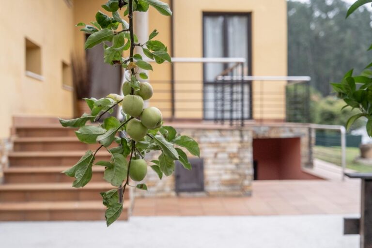como vender mi chalet mejor precio asturias